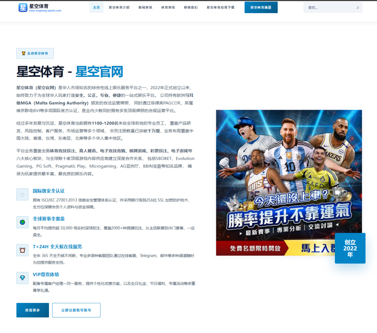 2026年国际足球友谊赛阿根廷年轻球员表现分析