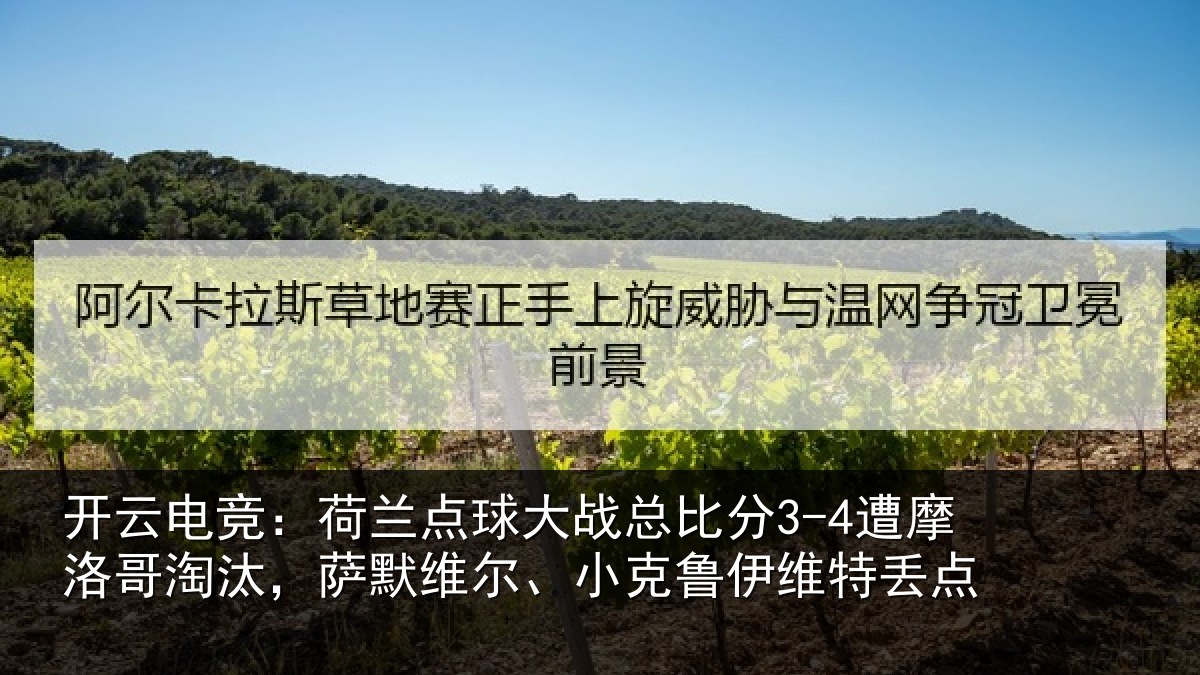 开云电竞:荷兰相关情况摩洛相关情况克鲁伊维特丢点