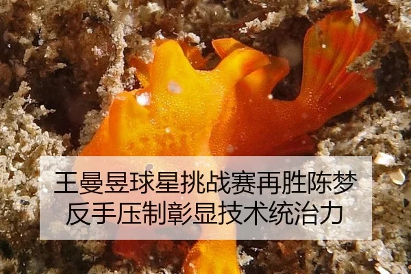 wang-man-yu-qiu-xing-tiao-zhan-sai-zai-sheng-chen-meng-fan-shou-ya-zhi-zhang-xian-ji-shu-tong-zhi-li-1-929.jpg